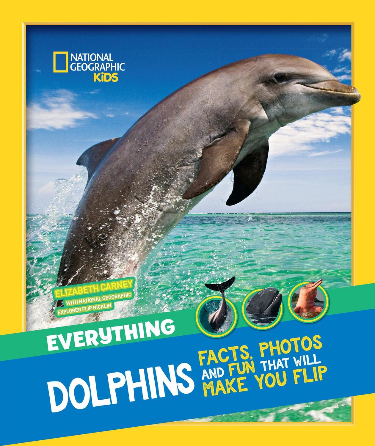 Cover: 9780008267742 | Everything: Dolphins | National Geographic Kids | Taschenbuch | 2018