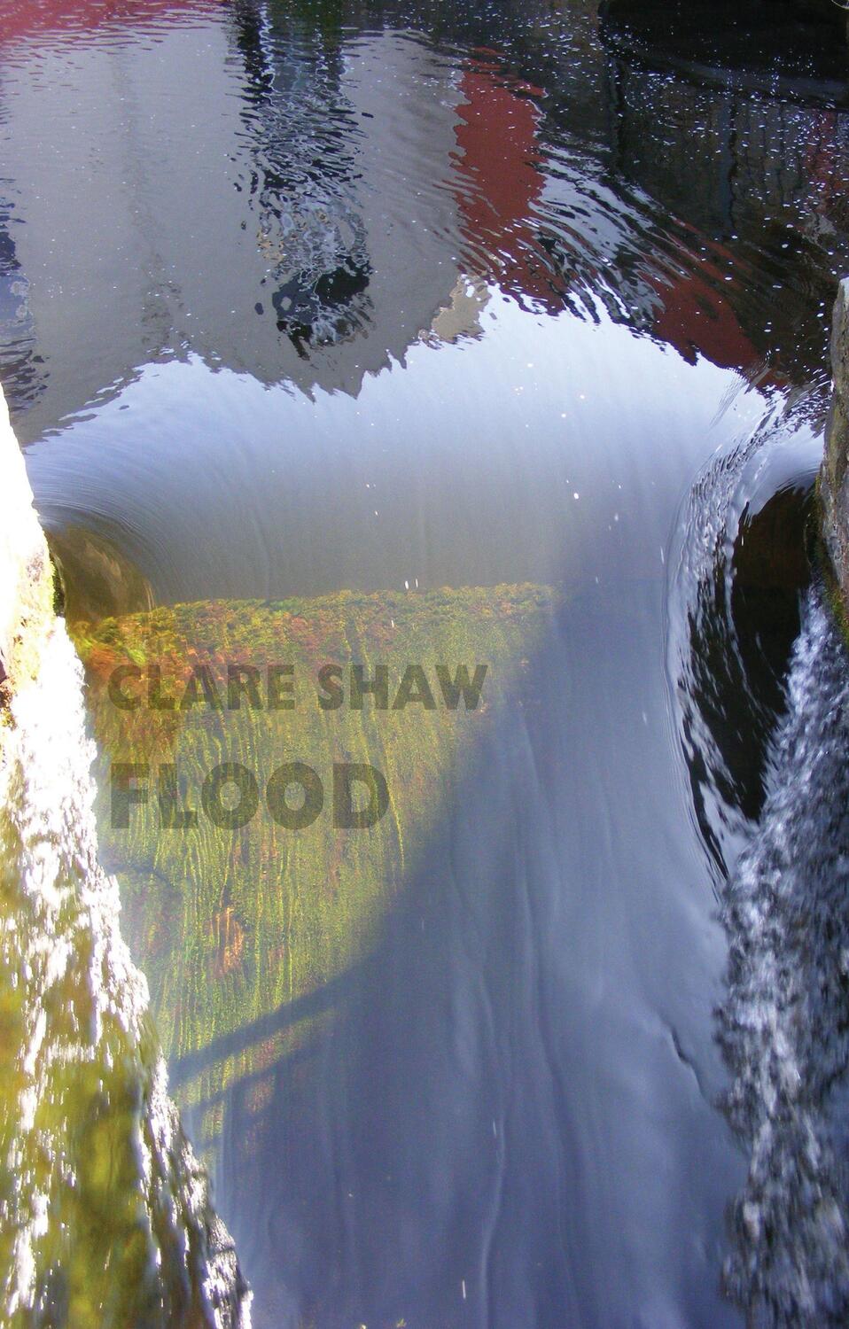Cover: 9781780374208 | Flood | Clare Shaw | Taschenbuch | Kartoniert / Broschiert | Englisch