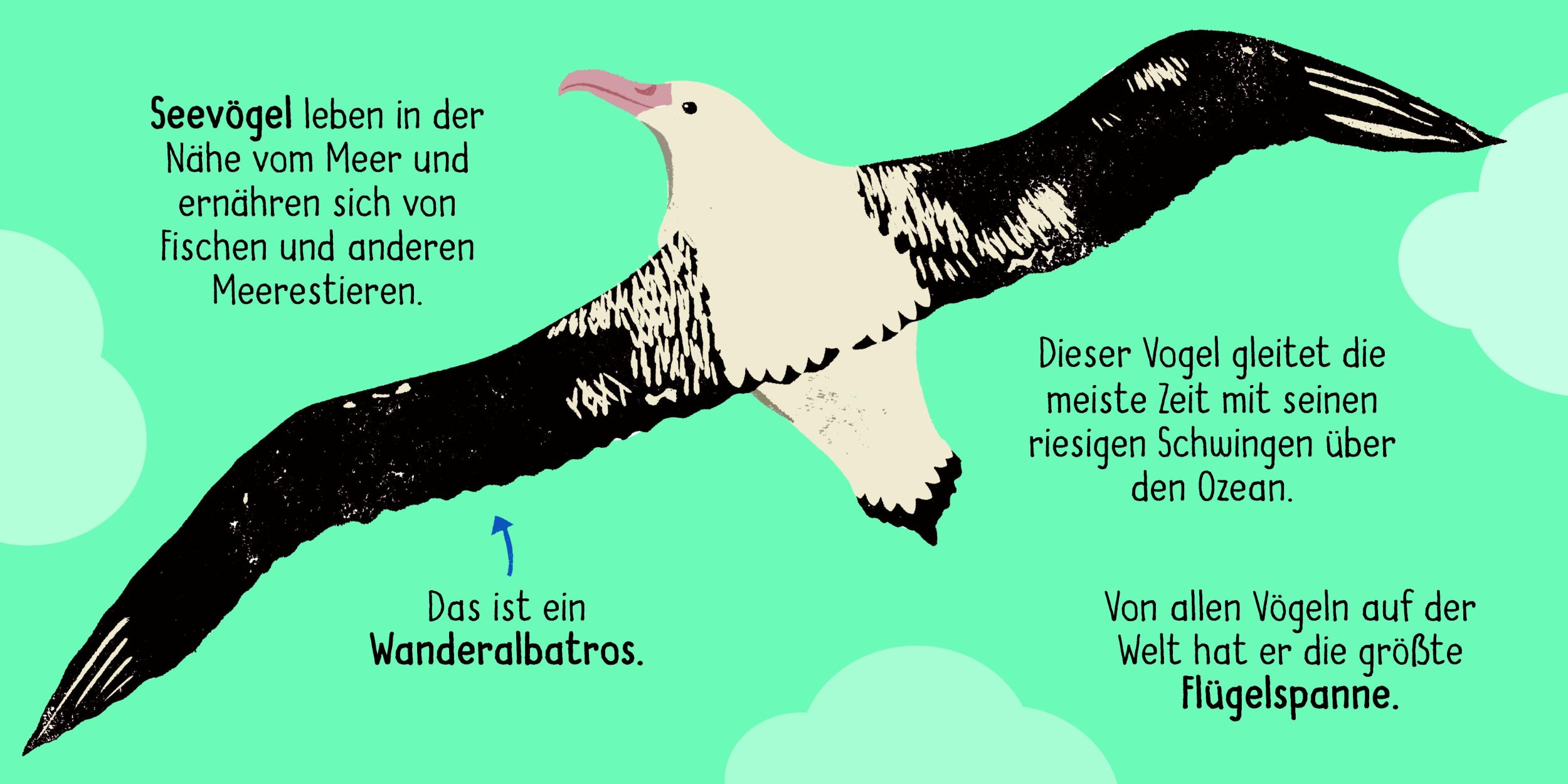 Bild: 9783411708475 | 50 Wörter über die Natur - Vögel | Tara Pegley-Stanger | Buch | 32 S.