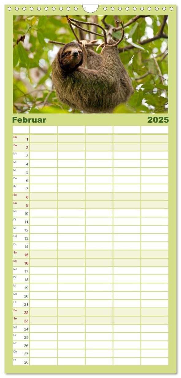 Bild: 9783457126639 | Familienplaner 2025 - Costa Rica mit 5 Spalten (Wandkalender, 21 x...