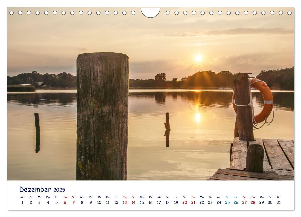 Bild: 9783435083015 | Maritime Schlei (Wandkalender 2025 DIN A4 quer), CALVENDO...