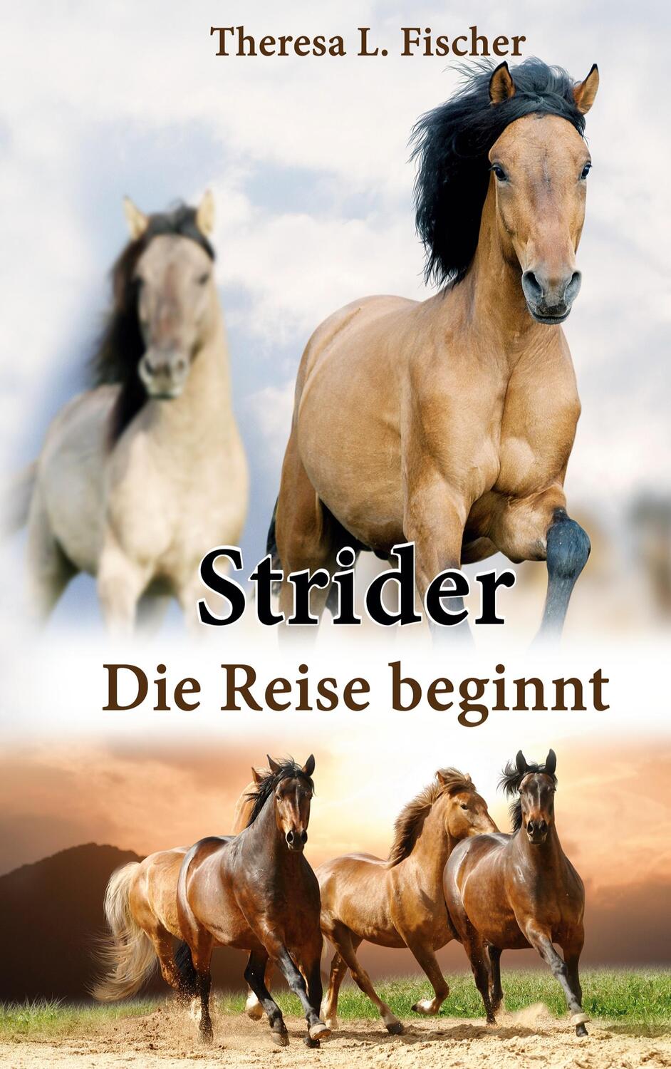 Cover: 9783756844296 | Strider | Die Reise beginnt | Theresa L. Fischer | Taschenbuch