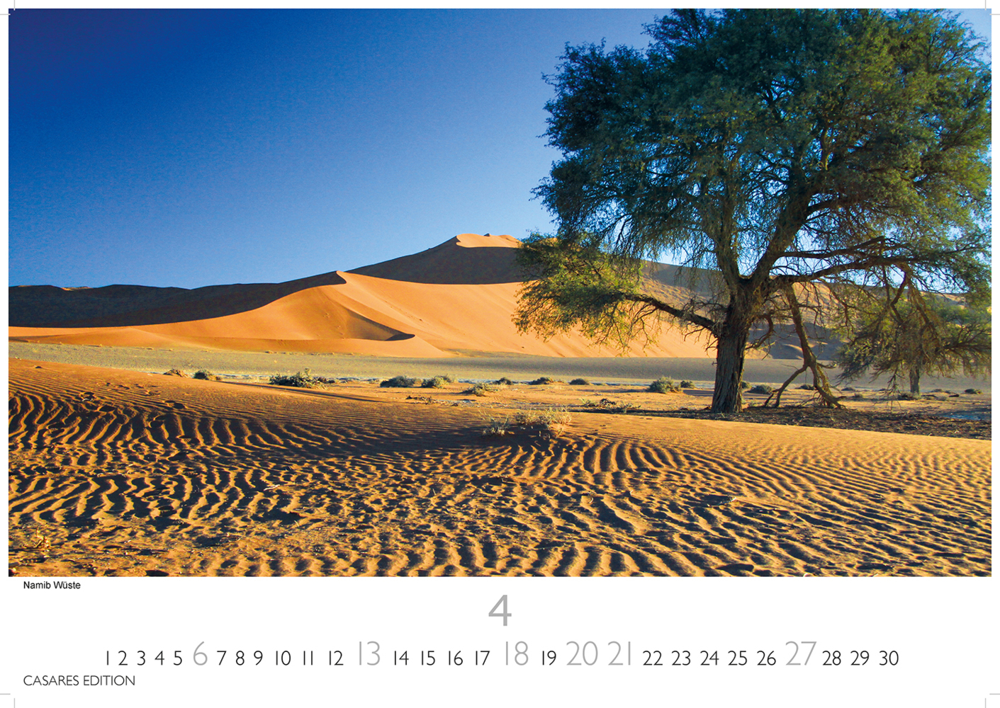 Bild: 9781835240625 | Namibia 2025 L 35x50cm | Kalender | 14 S. | Deutsch | 2025