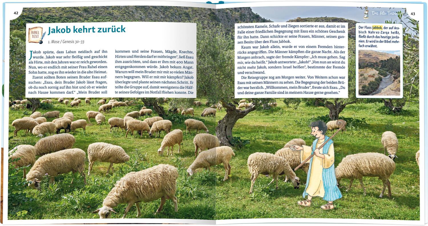 Bild: 9783766636669 | Wissensbibel für Kinder | Brigitte Goßmann | Buch | Bibel - Kinder
