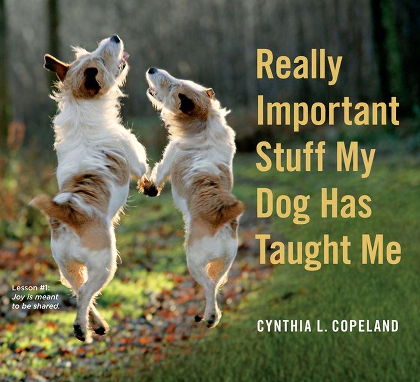 Cover: 9780761181798 | Really Important Stuff My Dog Has Taught Me | Less Bark, More Wag