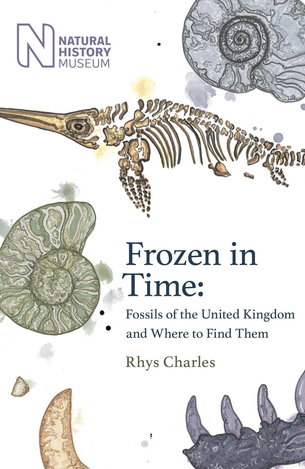 Cover: 9781409197966 | Frozen in Time | Fossils of Great Britain and Where to Find Them