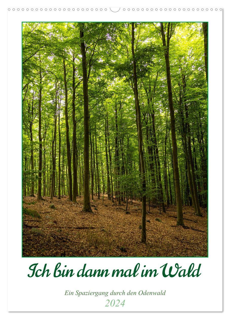 Cover: 9783383661051 | Ich bin dann mal im Wald (Wandkalender 2024 DIN A2 hoch), CALVENDO...