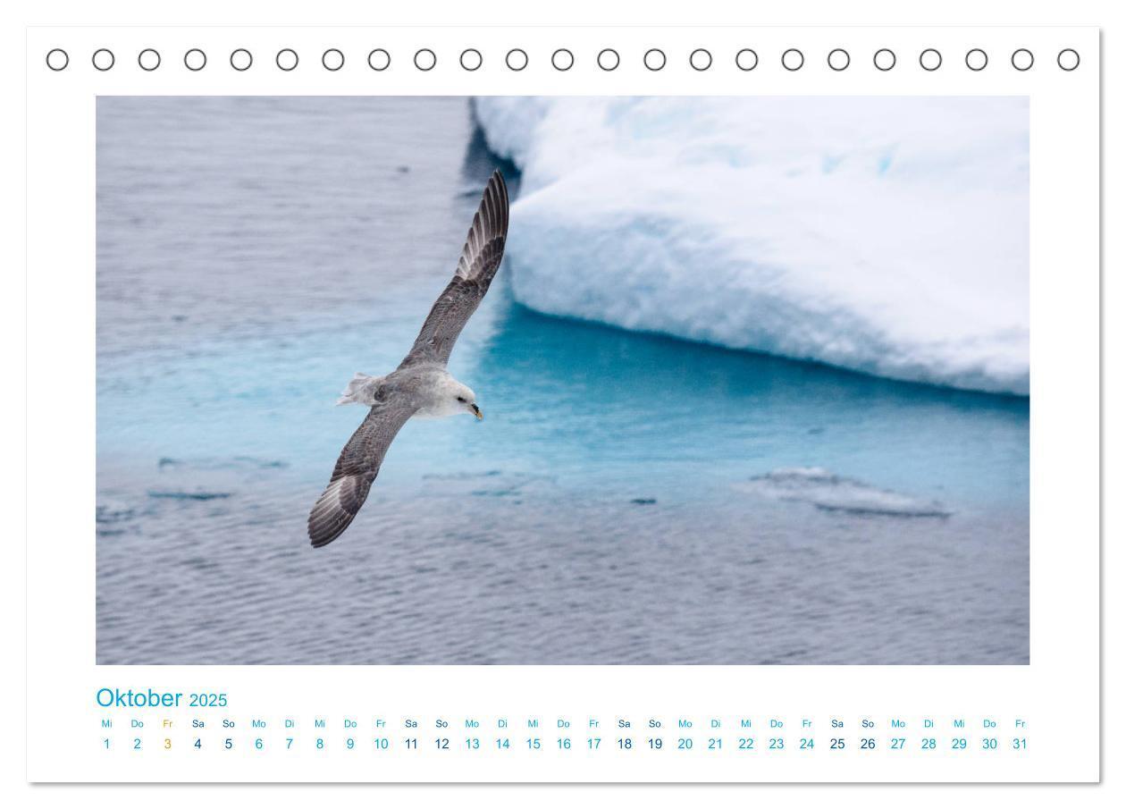 Bild: 9783435338559 | Spitzbergen - Landschaft - Eis - Tierwelt (Tischkalender 2025 DIN...