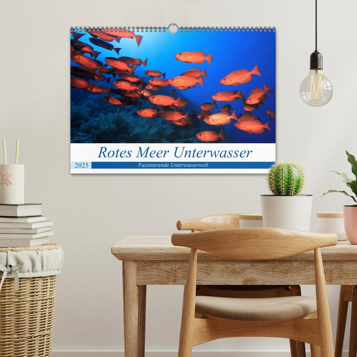 Bild: 9783435155347 | Rotes Meer Unterwasser (Wandkalender 2025 DIN A3 quer), CALVENDO...