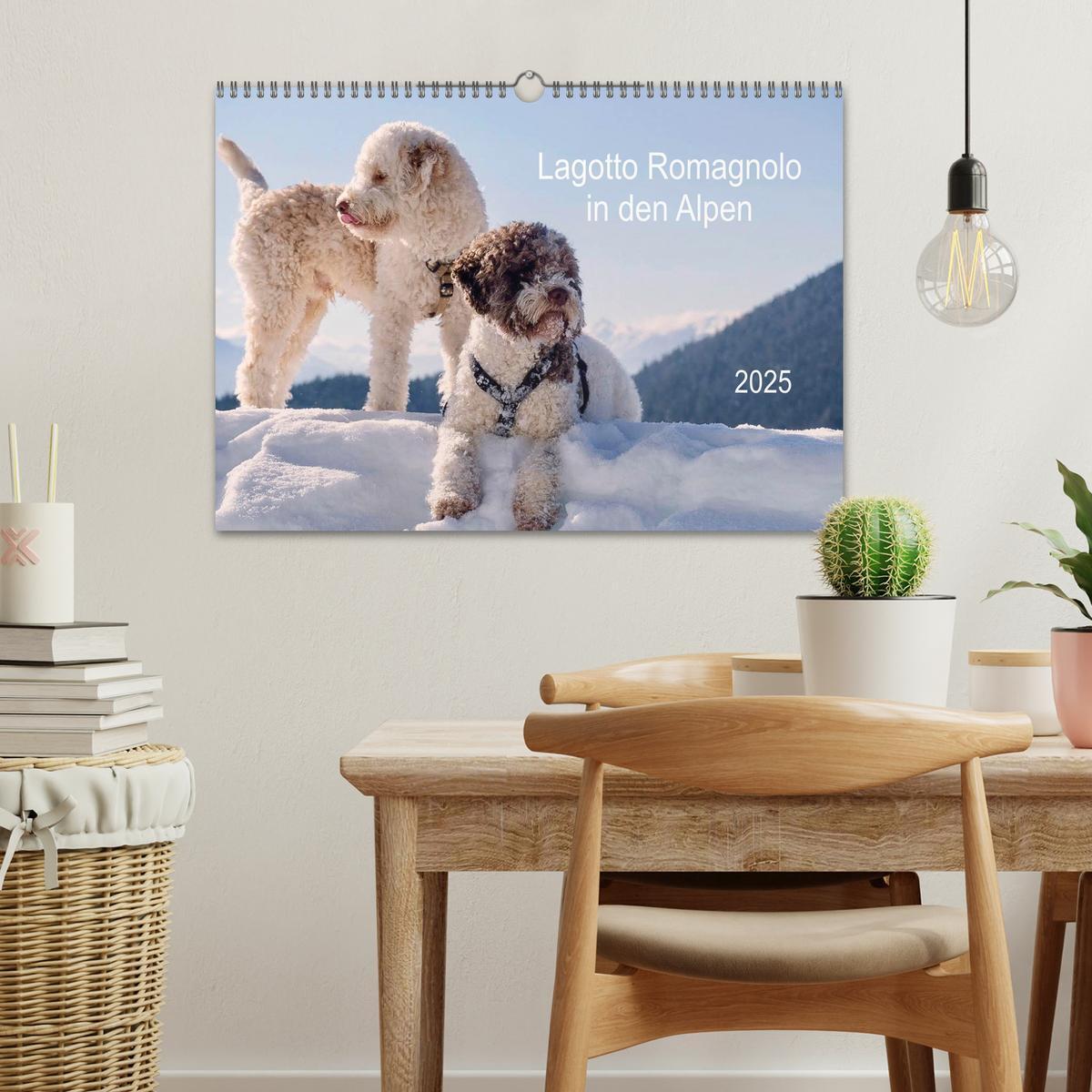 Bild: 9783435295630 | Lagotto Romagnolo in den Alpen 2025 (Wandkalender 2025 DIN A3...