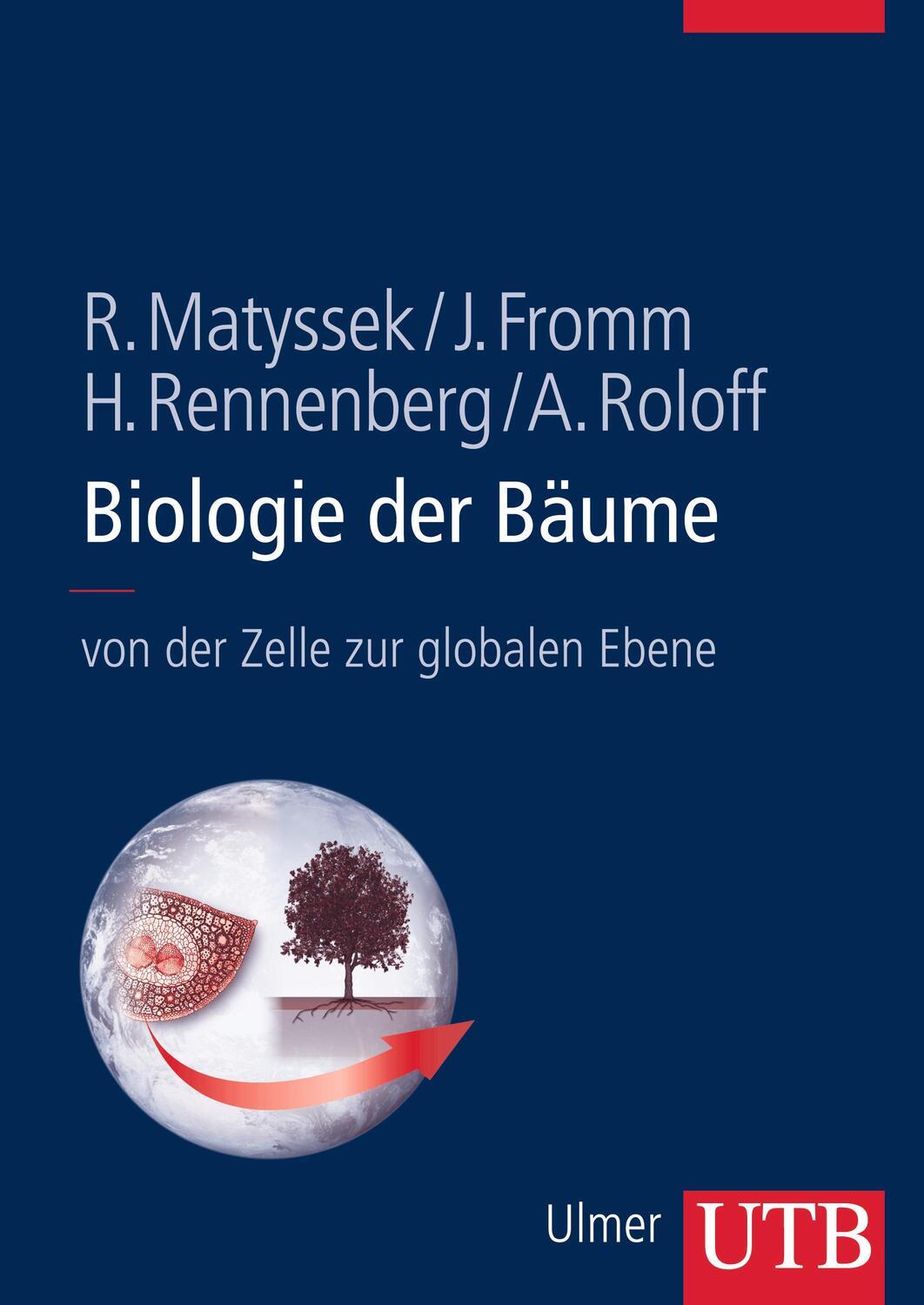 Cover: 9783825284503 | Biologie der Bäume | von der Zellbiologie zur globalen Ebene | Buch