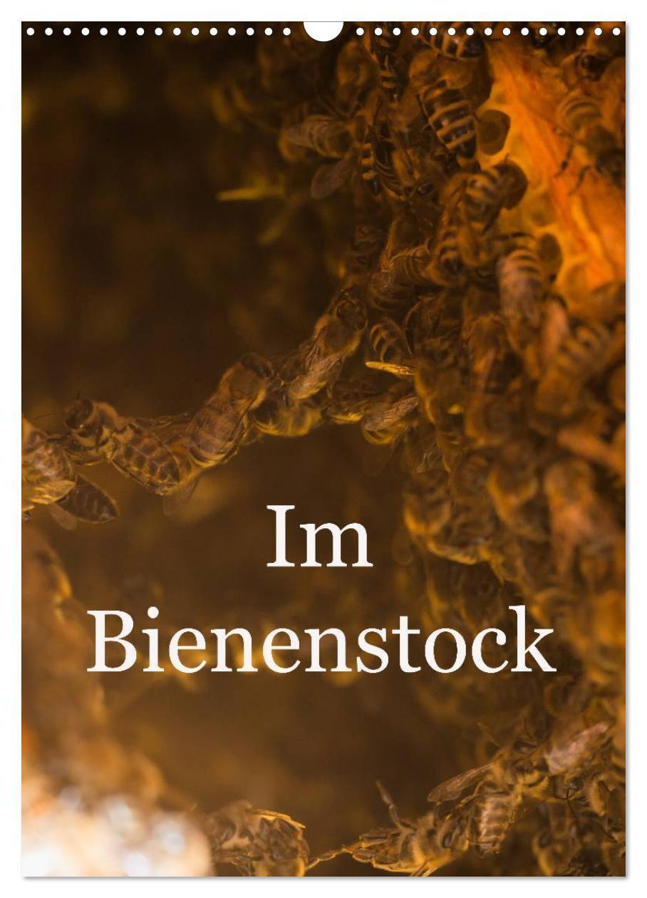 Cover: 9783675583986 | Im Bienenstock (Wandkalender 2024 DIN A3 hoch), CALVENDO...
