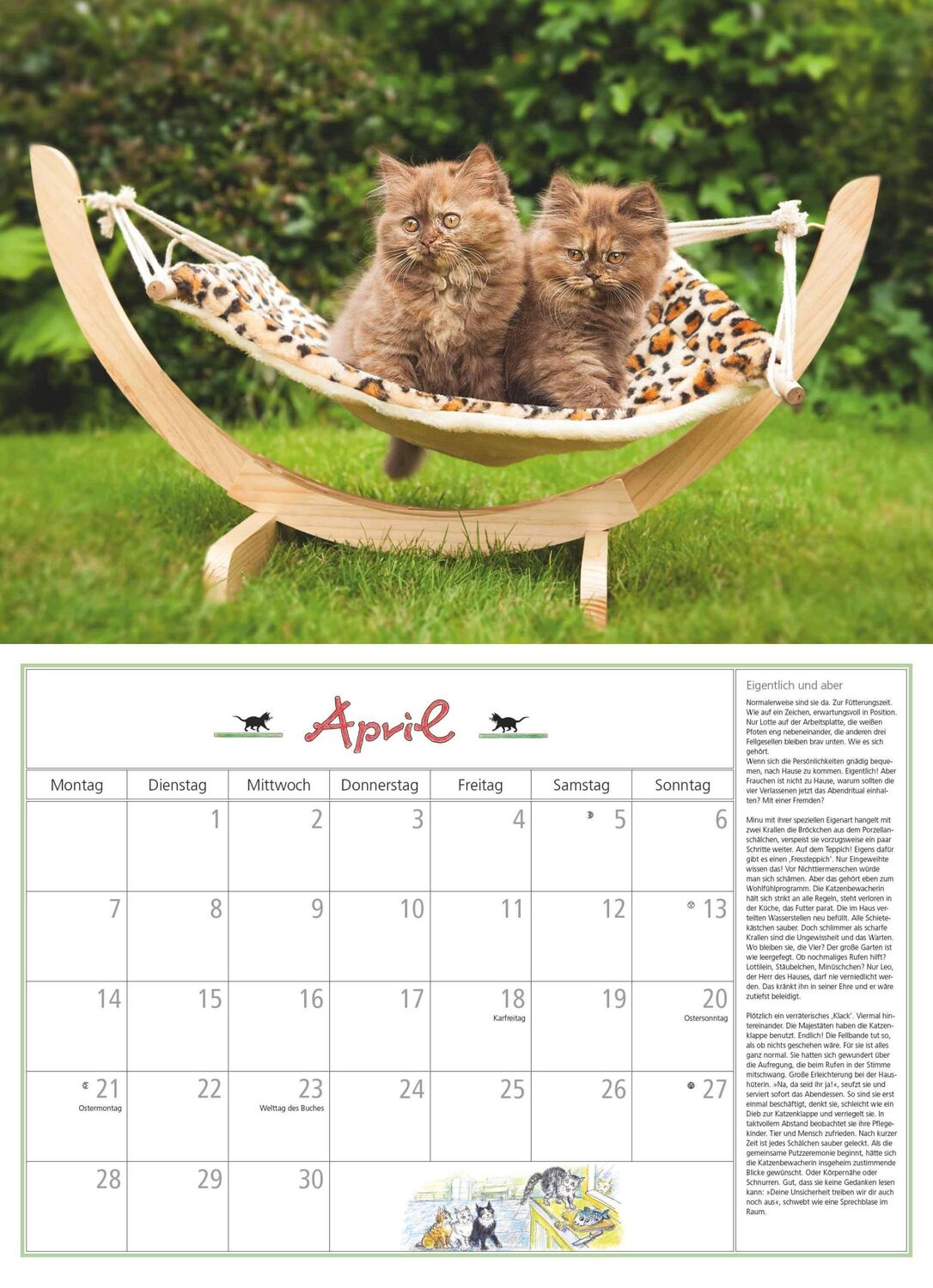 Bild: 4250809652412 | DUMONT - DUMONTS Katzenkalender 2025 Broschürenkalender, 42x29cm,...