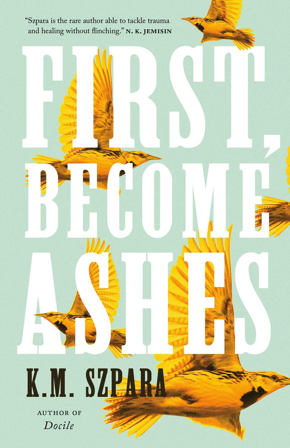 Cover: 9781250216182 | First, Become Ashes | K.M. Szpara | Buch | Gebunden | Englisch | 2021