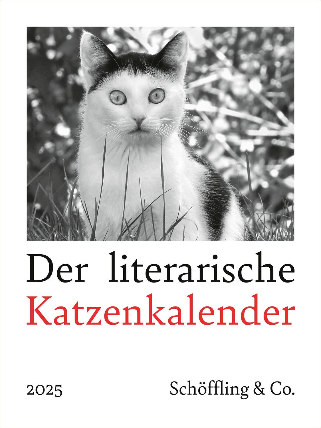 Cover: 9783895617591 | Der literarische Katzenkalender 2025 | Julia Bachstein | Kalender