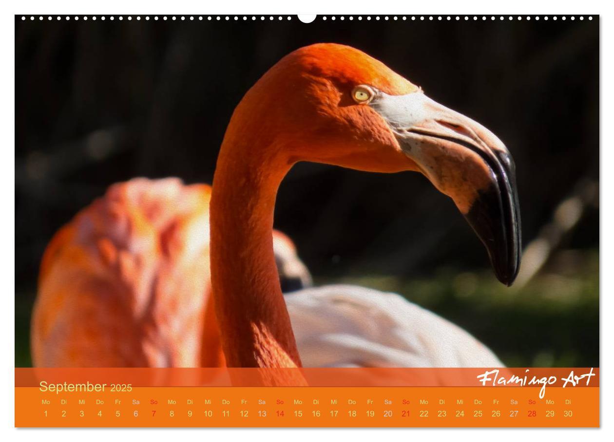 Bild: 9783435818822 | Flamingo Art 2025 (Wandkalender 2025 DIN A2 quer), CALVENDO...