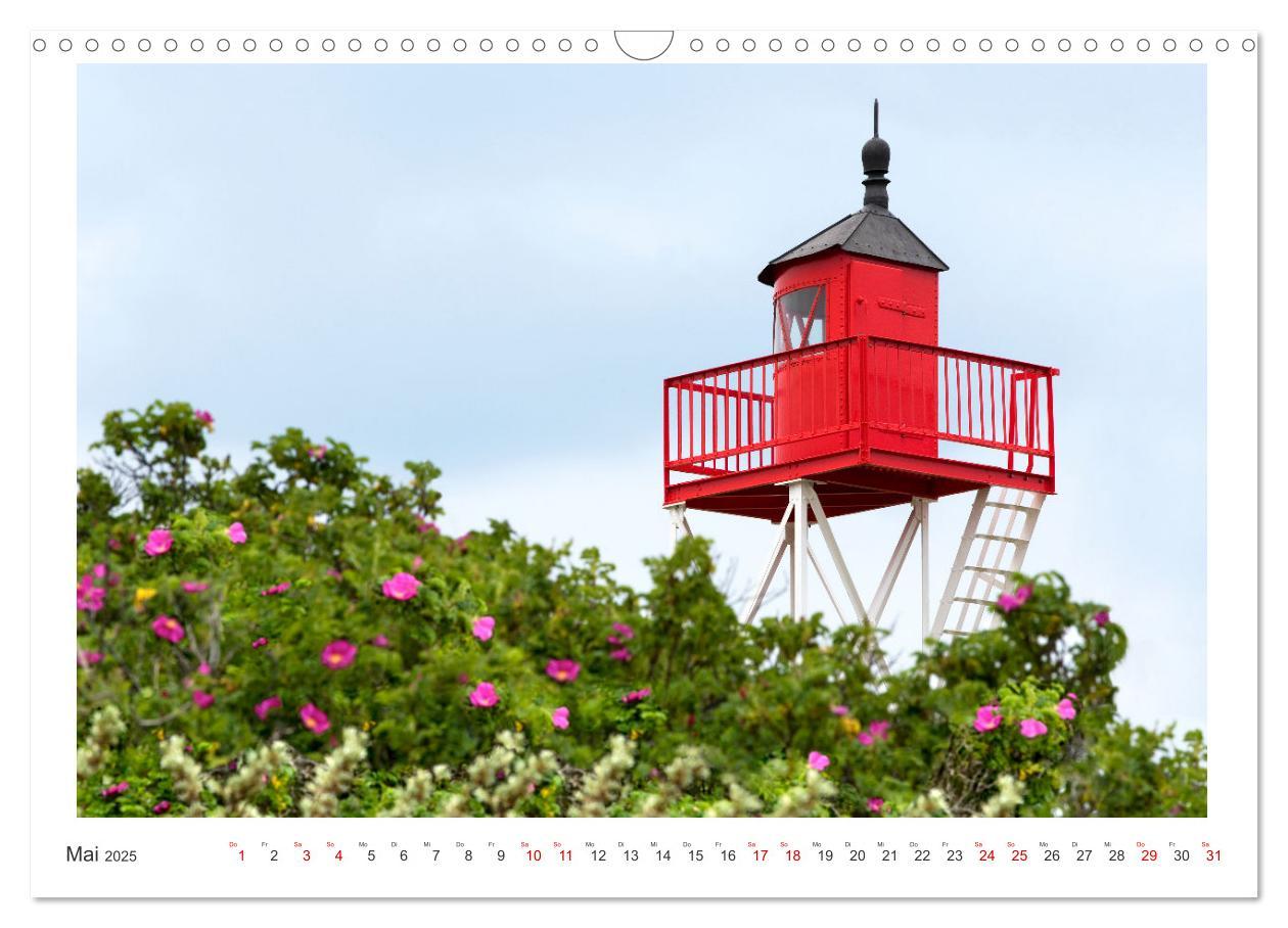 Bild: 9783457145883 | Buntes und blühendes Borkum (Wandkalender 2025 DIN A3 quer),...