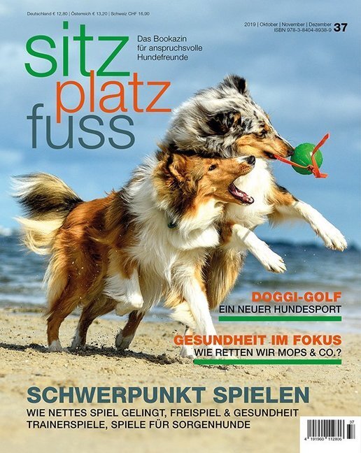Cover: 9783840489389 | Schwerpunkt Spielen | Taschenbuch | Geklebt | Deutsch | 2019 | Cadmos