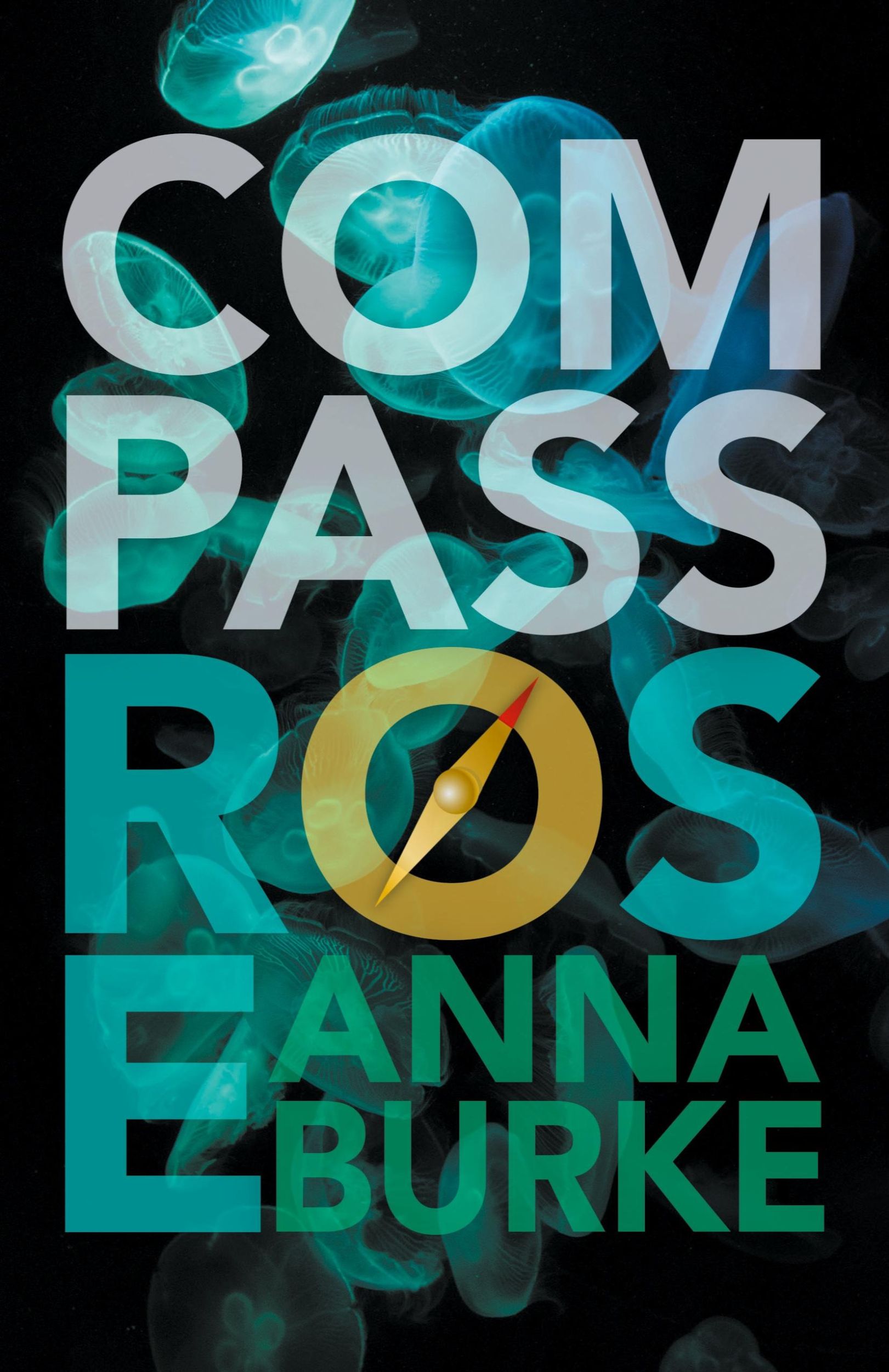 Cover: 9781612941196 | Compass Rose | Anna Burke | Taschenbuch | Englisch | 2018