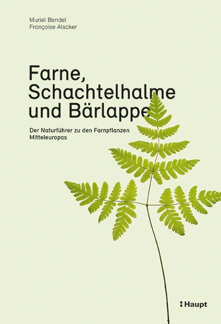 Cover: 9783258081731 | Farne, Schachtelhalme und Bärlappe | Muriel Bendel (u. a.) | Buch