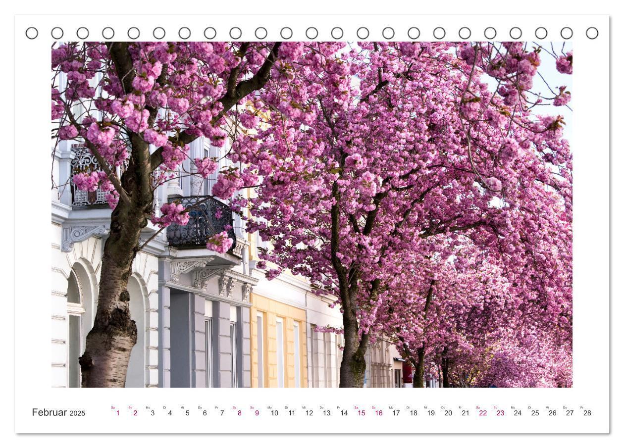 Bild: 9783457127889 | Japanische Kirschblüte in Bonn (Tischkalender 2025 DIN A5 quer),...