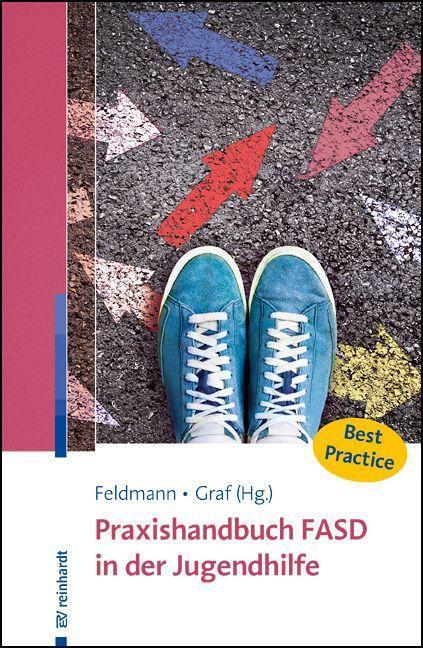 Cover: 9783497031054 | Praxishandbuch FASD in der Jugendhilfe | Reinhold Feldmann (u. a.)