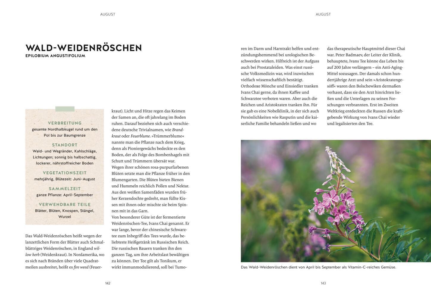 Bild: 9783833887956 | Mein Gartenkalender 2024 | Wolf-Dieter Storl | Buch | 240 S. | Deutsch