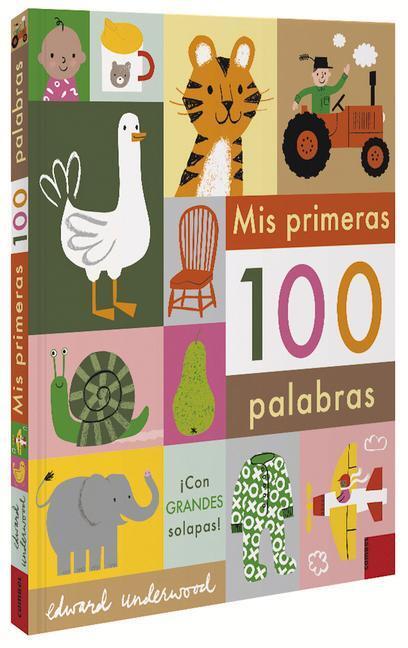 Cover: 9788491015949 | MIS Primeras 100 Palabras | Edward Underwood | Buch | Spanisch | 2021