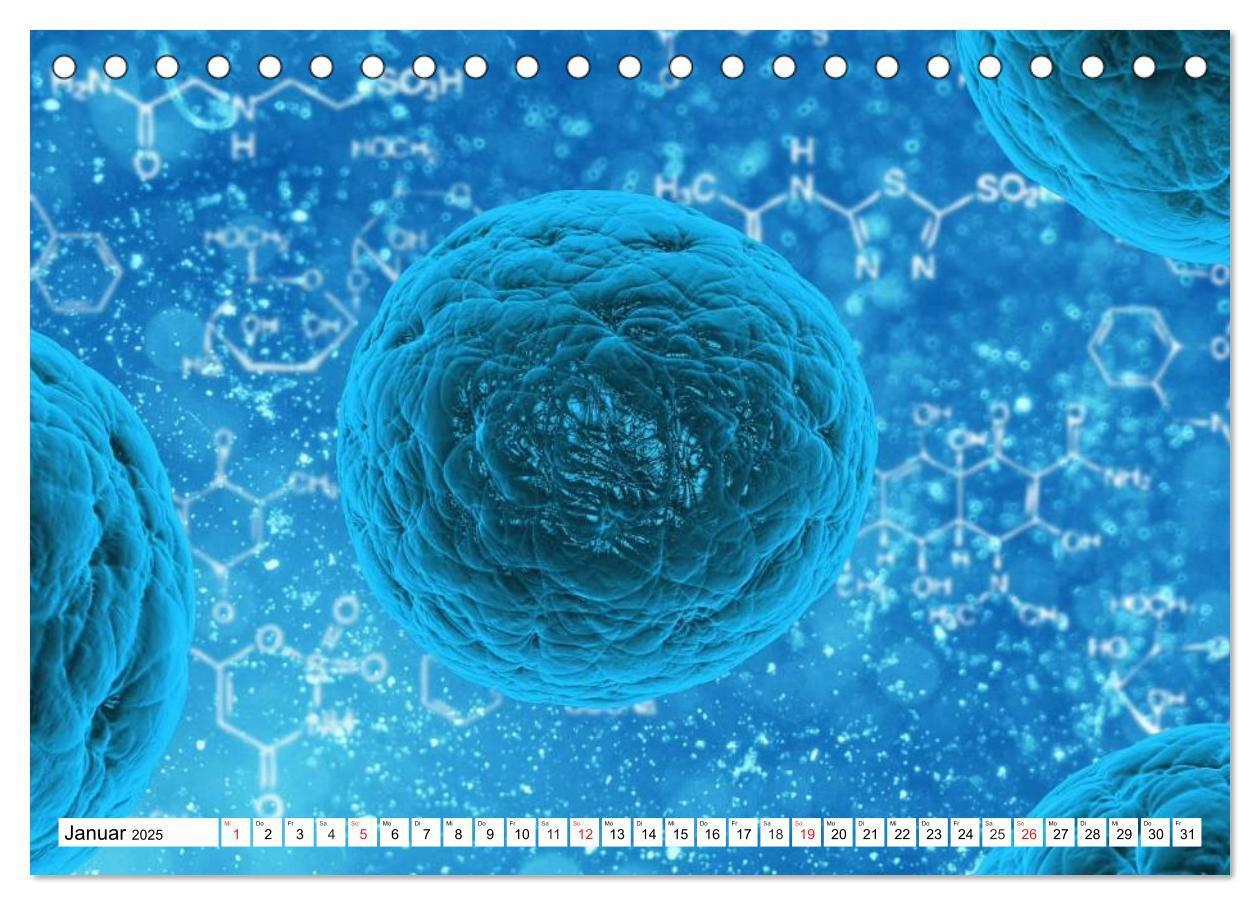 Bild: 9783435482832 | Mikrobiologie. Mikroorganismen, Genetik und Zellen (Tischkalender...