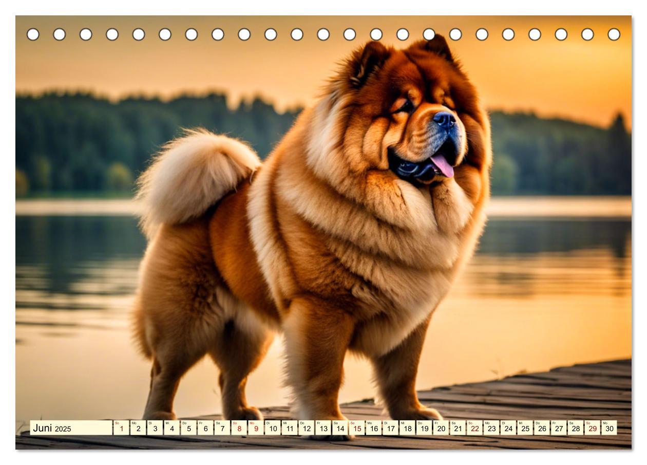 Bild: 9783457036945 | Chow Chow - der Löwenkopfhund (Tischkalender 2025 DIN A5 quer),...