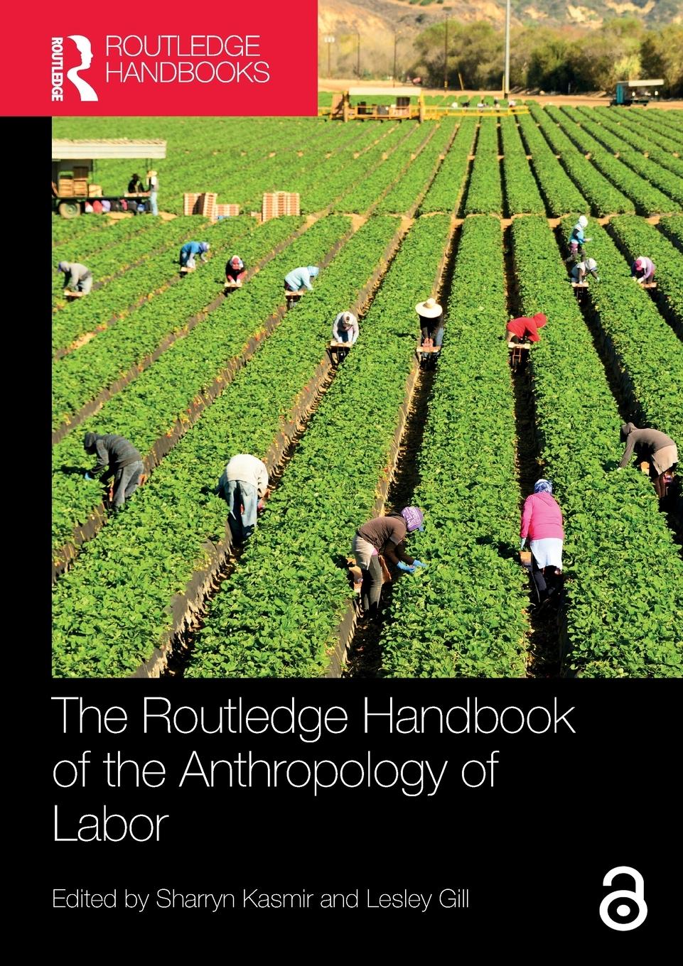 Cover: 9780367745516 | The Routledge Handbook of the Anthropology of Labor | Gill (u. a.)