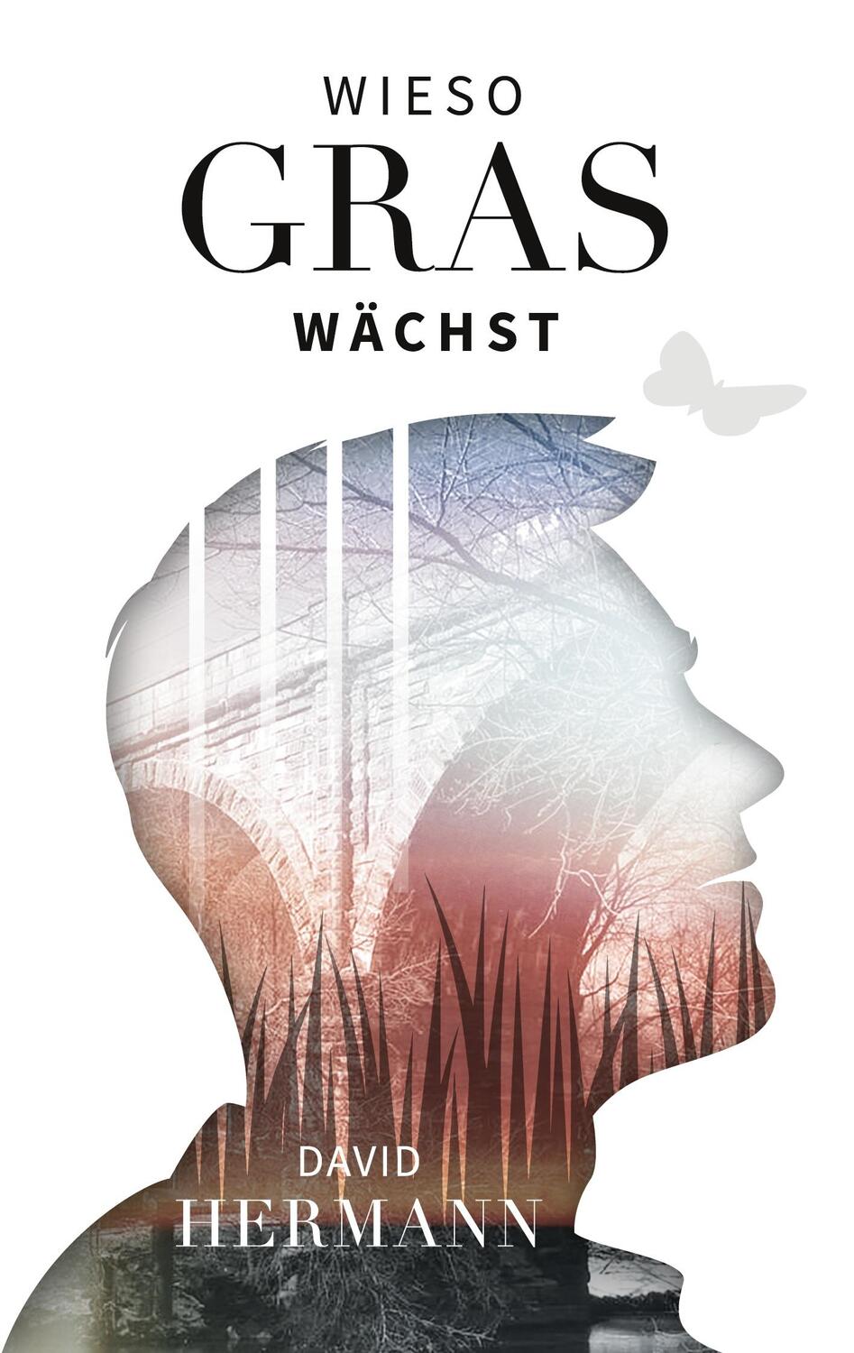 Cover: 9783757817213 | Wieso Gras wächst | David Hermann | Taschenbuch | Paperback | Deutsch