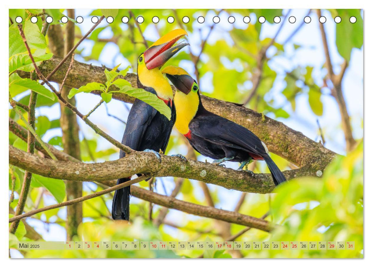 Bild: 9783457163610 | Tropenparadies zwischen Ozeanen Costa Rica (Tischkalender 2025 DIN...