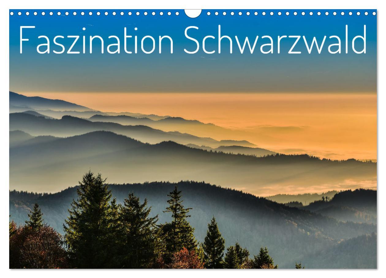 Cover: 9783457235447 | Faszination Schwarzwald (Wandkalender 2025 DIN A3 quer), CALVENDO...