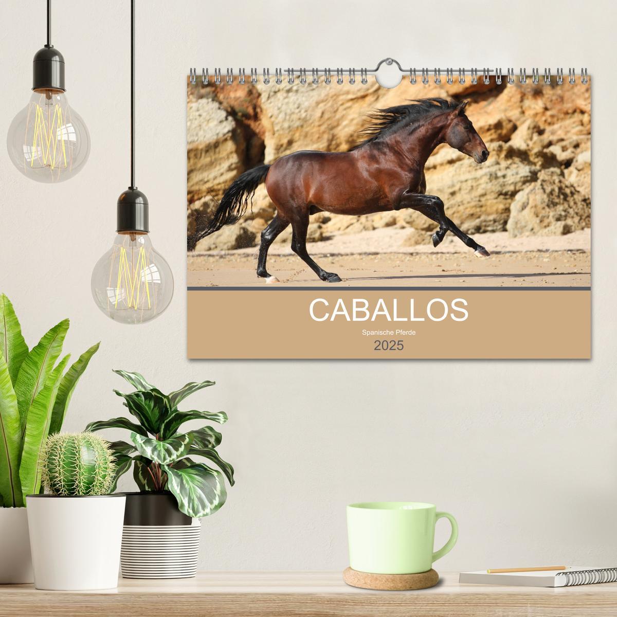 Bild: 9783435567126 | Caballos Spanische Pferde 2025 (Wandkalender 2025 DIN A4 quer),...