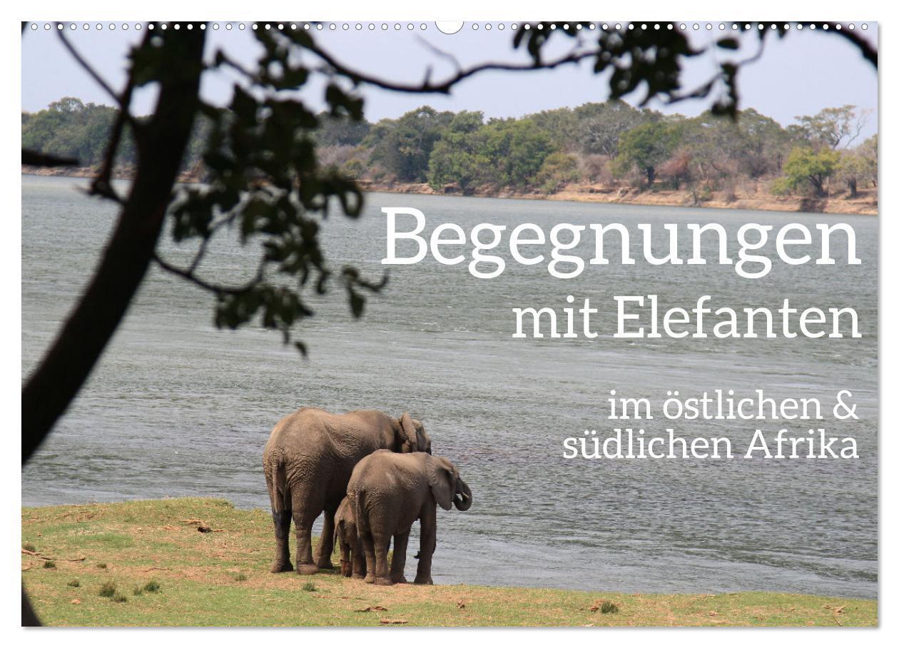Cover: 9783675428812 | begegnungen - elefanten im südlichen afrika (Wandkalender 2024 DIN...