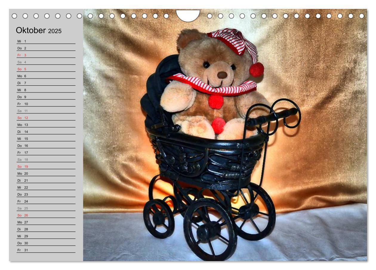 Bild: 9783435496068 | TEDDYBÄR, OH TEDDYBÄR... (Wandkalender 2025 DIN A4 quer), CALVENDO...