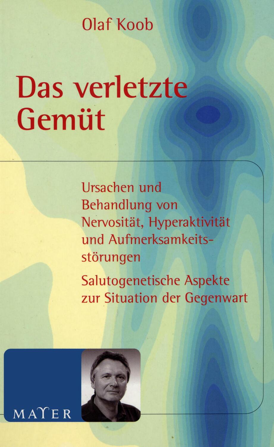 Cover: 9783932386428 | Das verletzte Gemüt | Olaf Koob | Taschenbuch | Deutsch | 2003