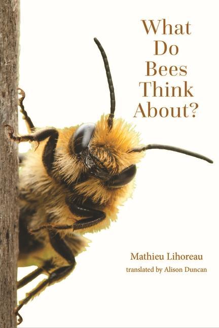 Cover: 9781421448589 | What Do Bees Think About? | Mathieu Lihoreau | Taschenbuch | Englisch