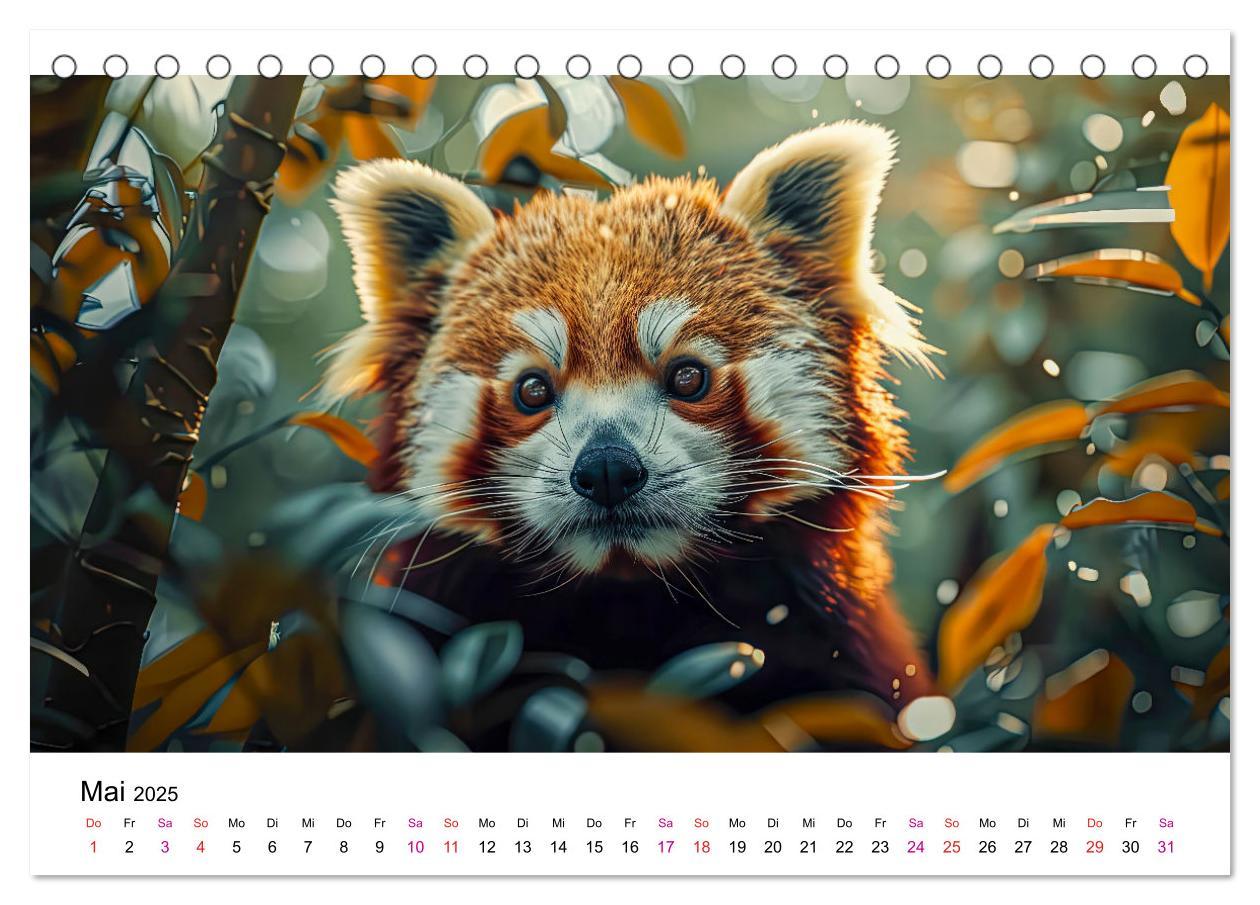 Bild: 9783457137208 | Der Rote Panda (Tischkalender 2025 DIN A5 quer), CALVENDO...