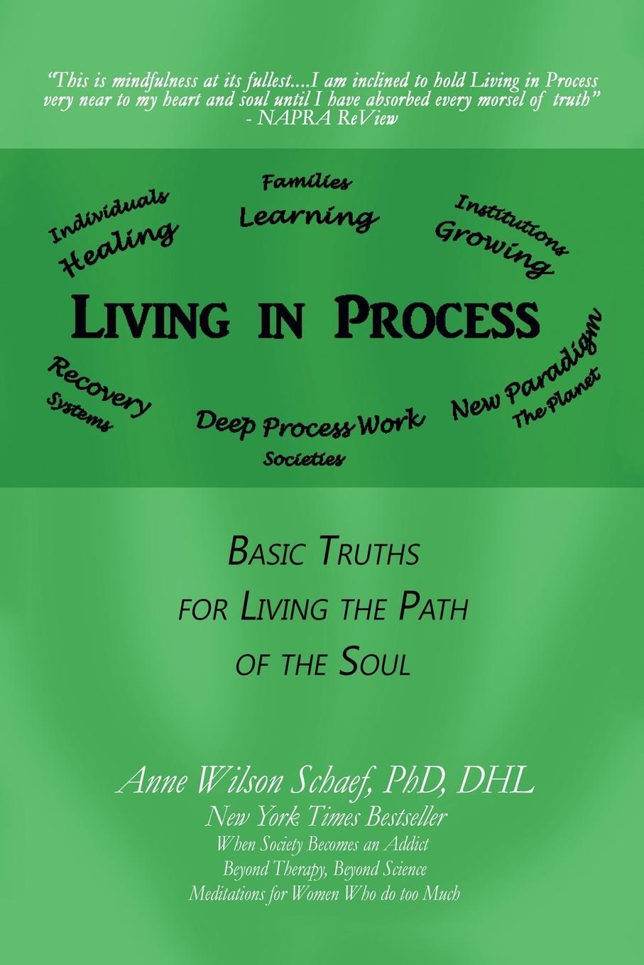 Cover: 9781532030529 | Living in Process | Basic Truths for Living the Path of the Soul