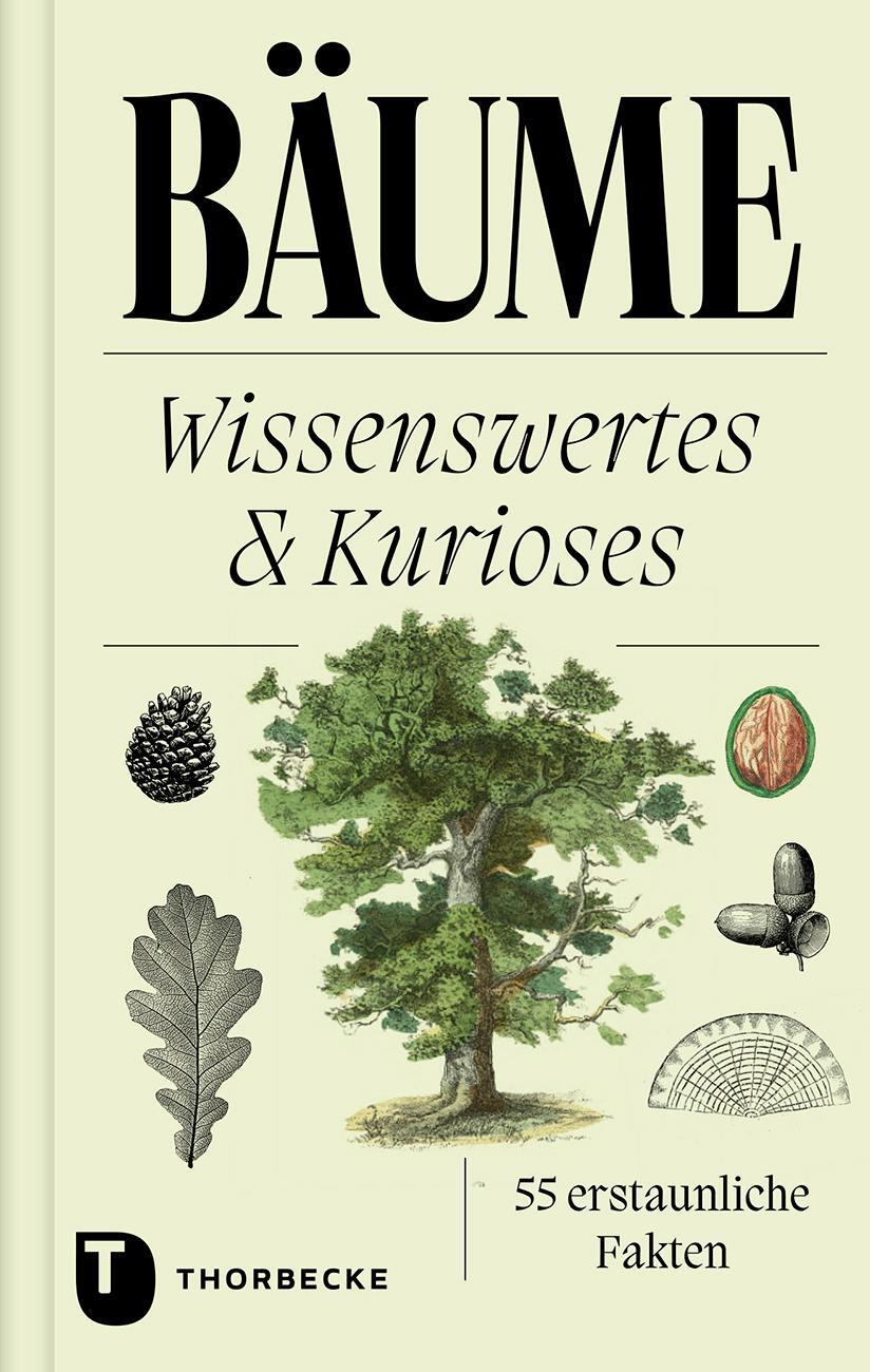 Cover: 9783799520799 | Bäume | Wissenswertes und Kurioses - 55 erstaunliche Fakten | Buch