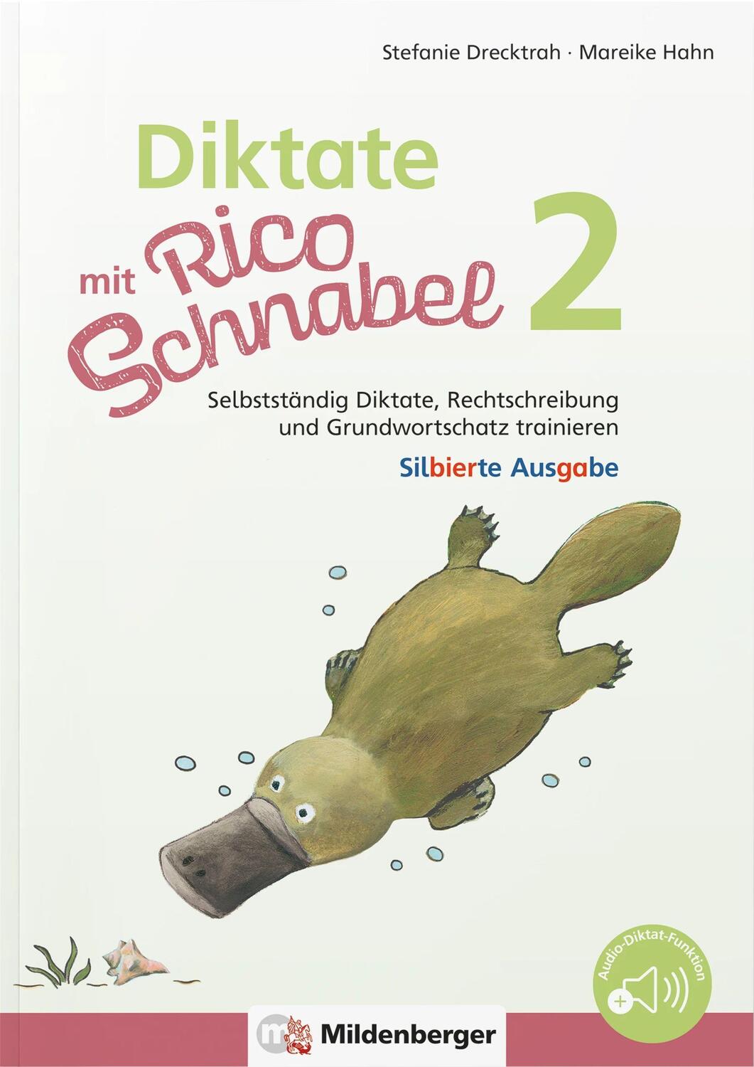 Cover: 9783619220458 | Diktate mit Rico Schnabel, Klasse 2 - silbierte Ausgabe | Broschüre