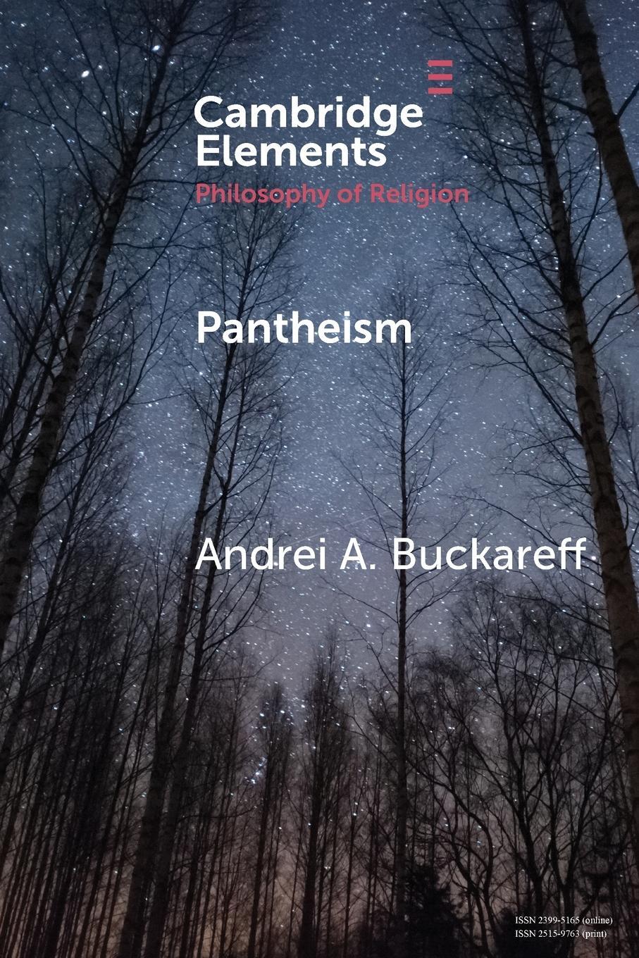 Cover: 9781108457507 | Pantheism | Andrei A. Buckareff | Taschenbuch | Paperback | Englisch