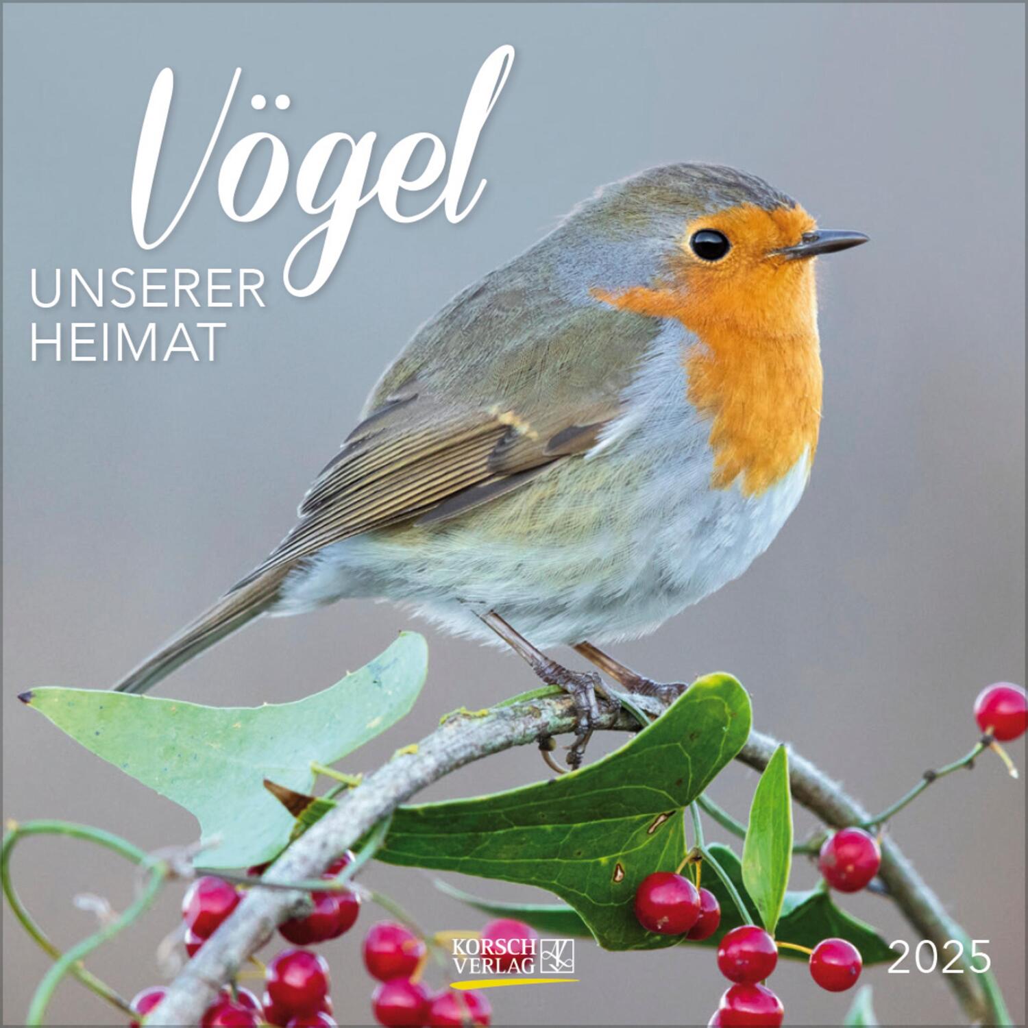 Cover: 9783731876519 | Vögel 2025 | Verlag Korsch | Kalender | 13 S. | Deutsch | 2025
