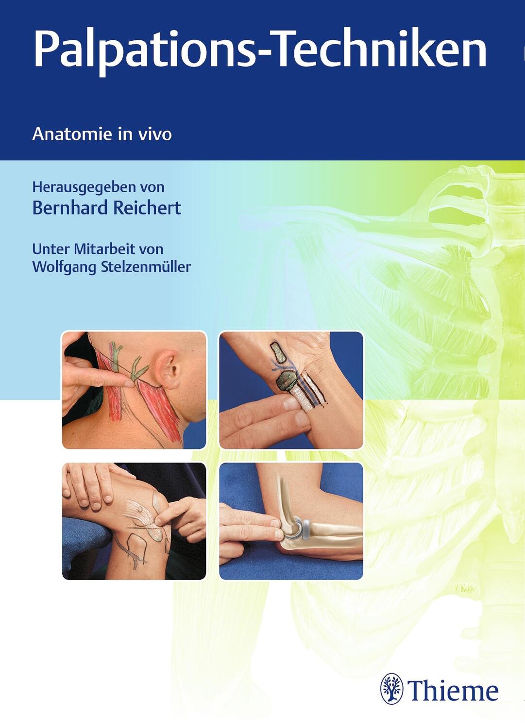 Cover: 9783132416338 | Palpations-Techniken | Anatomie in vivo | Bernhard Reichert | Buch