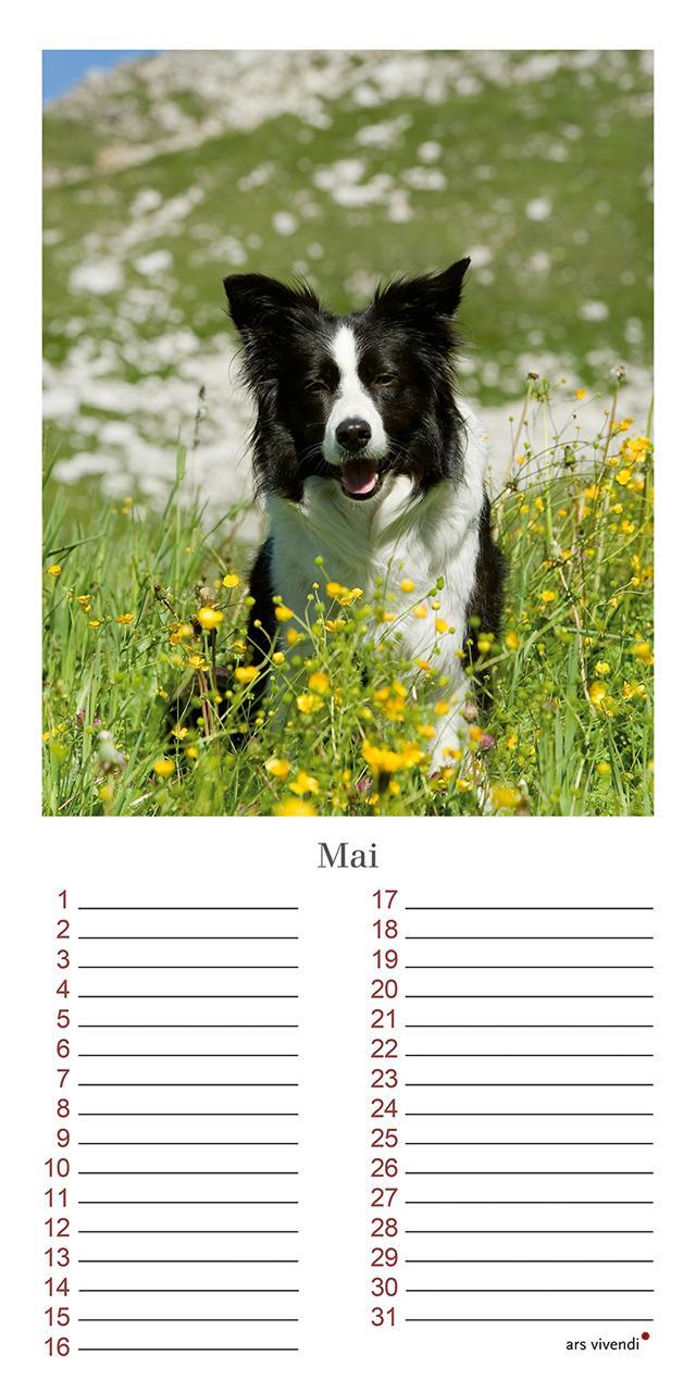 Bild: 9783747203965 | Geburtstagskalender Hunde | Immerwährender Kalender | Vivendi Ars