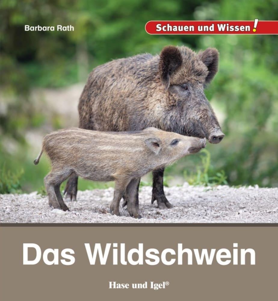 Cover: 9783863163617 | Das Wildschwein | Schauen und Wissen! | Barbara Rath | Buch | 34 S.