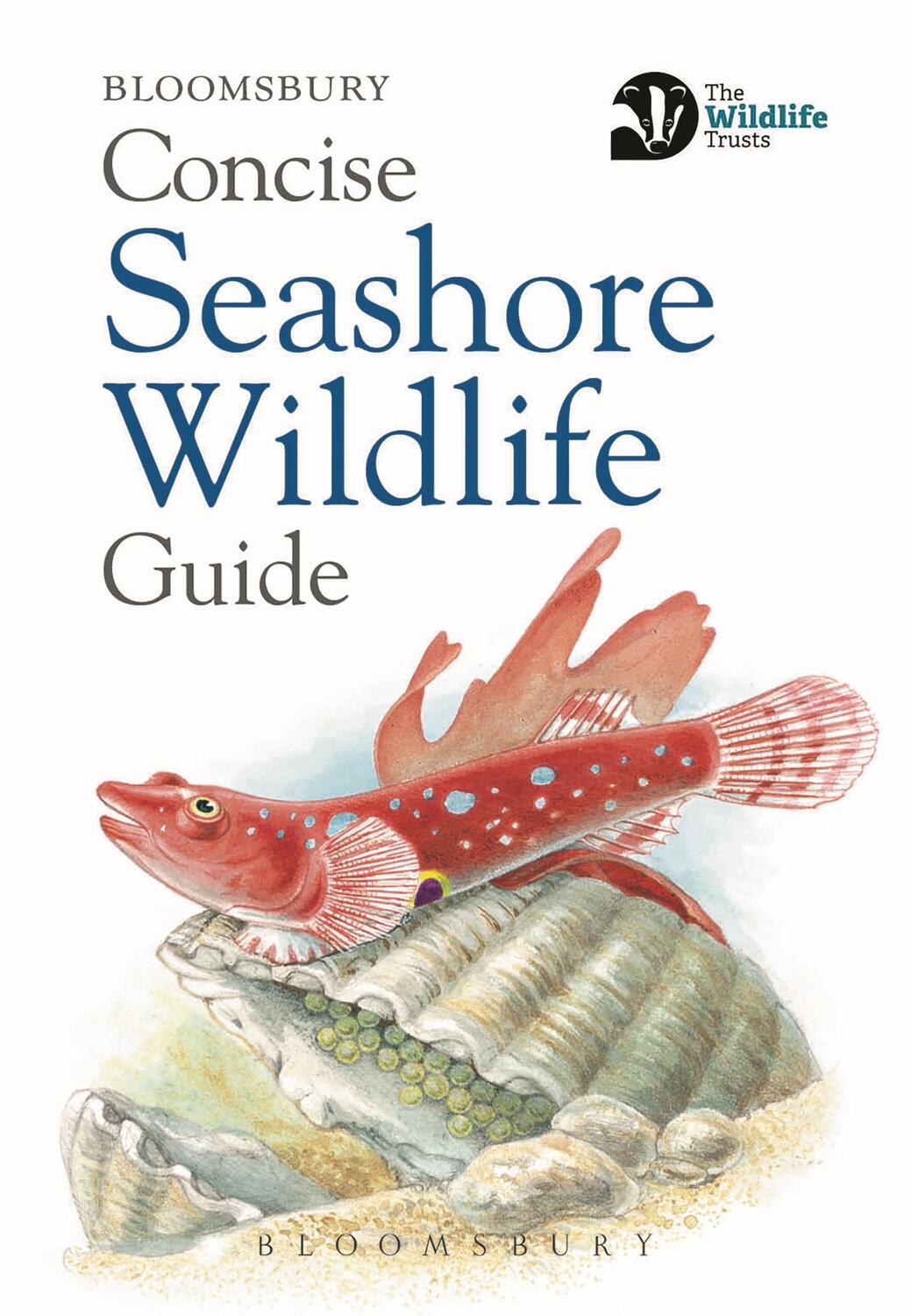 Cover: 9781472968296 | Concise Seashore Wildlife Guide | Bloomsbury | Taschenbuch | Englisch