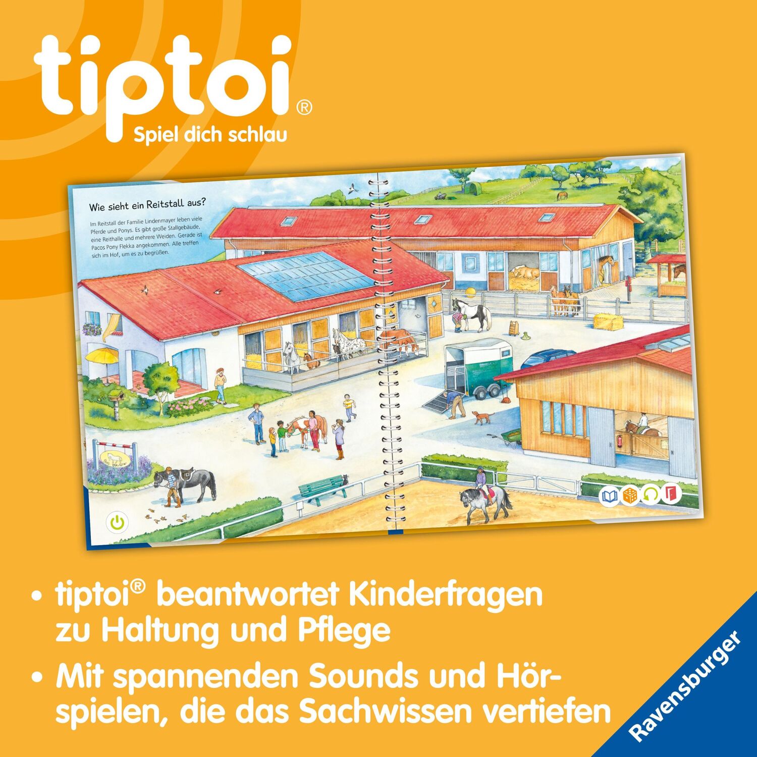 Bild: 9783473492299 | tiptoi® Wieso? Weshalb? Warum? Wir entdecken Pferde und Ponys | Buch